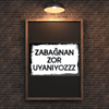 30x20 cm Zabağnan Zor Uyanıyosss