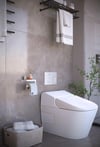 Metal 3'lü Set – Tuvalet Kağıtlık, Havlu Askısı ve Fön Makinesi Tutucu | Modern Banyo Düzenleyici