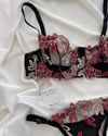 Bralet Takımlar BR04Anna Bralet Takım