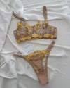 Bralet Takımlar BR12Luisa Bralet Takımı