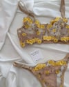 Bralet Takımlar BR12Luisa Bralet Takımı