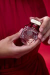 The Rosé Eau de Parfum 60 ml