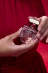 The Rosé Eau de Parfum 60 ml