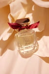 The Rosé Eau de Parfum 60 ml