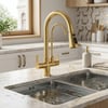 FLEKO Dual Arıtmalı Spiralli Eviye Bataryası Gold