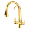FLEKO Dual Arıtmalı Spiralli Eviye Bataryası Gold