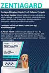 2'li Set Kedi Iç Dış Anti Parazit Tüm Köpekler Kediler Için Bitkisel 2 Damla ve 2 Tablet 