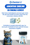 Active Carbon Kedi Kumu Koku Giderici Aktif Karbon ve CocoCrystal (Hindistan Cevizi Kokusu)
