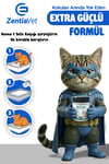 Active Carbon Kedi Kumu Koku Giderici Aktif Karbon ve CocoCrystal (Hindistan Cevizi Kokusu)