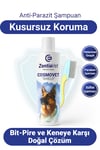 Bit Tarağı Hediyeli Bit Arındırıcı Köpek Şampuanı, Bit Pire Parazit Kene Önleyici Köpek Şampuan