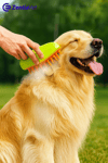 Buharlı Kedi Köpek Tarağı Yeni Nesil Tüy Alma Tarağı