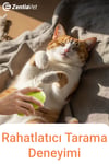 Buharlı Kedi Köpek Tarağı Yeni Nesil Tüy Alma Tarağı