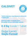 CALSİVET-CAT