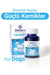 CALSİVET-DOG