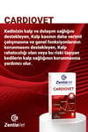 CARDIOVET-CAT