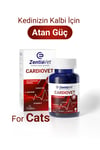 CARDIOVET-CAT
