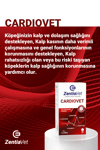 CARDIOVET-DOG