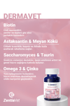 DERMAVET-DOG