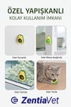 Doğal & Yenilebilir Kedi Nanesi Otu Avokado Kedi Çimi Özel Yapışkanlı 360° Dönen Catnip Yalama Topu