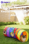 Düz Kedi Tüneli Katlanır Gökkuşağı Uzun Düz Kedi Köpek Oyun Tüneli Evcil Hayvan Oyun Tüneli 1 Adet