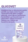 GLUCOVET-CAT