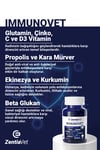 IMMUNOVET-CAT