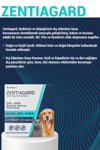 Kedi Köpek İç Dış Parazit Uzaklaştırıcı Kedi Bit Pire Kene Giderici Bitkisel 4 Damla 4 Tablet Seti