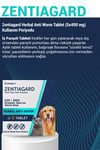 Kedi Parazit Tableti Bitkisel & Lezzetli Kedi İç Parazit Herbal Anti-worm 5 Adet Tablet
