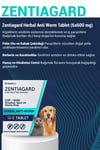Köpek Anti Parazit Tableti Bitkisel & Lezzetli Köpek İç Parazit Herbal Anti-worm 5 Adet Tablet
