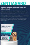Köpek Anti Parazit Tableti Bitkisel & Lezzetli Köpek İç Parazit Herbal Anti-worm 5 Adet Tablet
