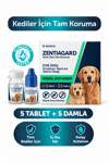 Köpek İç Dış Parazit Bitkisel Damla Yağı Droplus Köpek Pire Bit Kene Damlası  Seti 5-Tablet 5