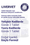 LİVERVET-CAT