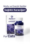 LİVERVET-CAT