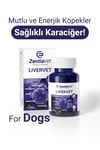 LİVERVET-DOG
