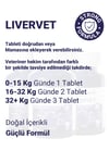 LİVERVET-DOG
