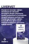 LİVERVET-DOG