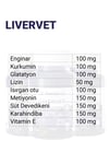 LİVERVET-DOG