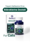 RENALVET-CAT