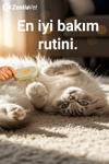 Saplı Buharlı Kedi Tarağı, Buharlı Kedi & Köpek Yıkama Fırçası Tarağı Yumuşak Silikonlu