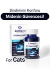 STOMACHVET-CAT