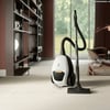 Electrolux (PD82-ALRG 900258499) Torbalı Yatay Süpürge