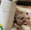 50 Fabric Animals