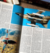 Air Forces of the World