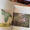 American Wildlife Painting - Martina R. Norelli