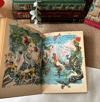 Contes D'andersen