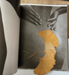 Figure Studies , Fritz Henle's