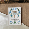 Flower Fairies of the Winter