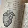 Life and Health, Alert F Blaisdell 
