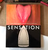 Sensation: Young British Artists from the Saatchi Collection