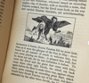 The Famous History of Doctor Faustus